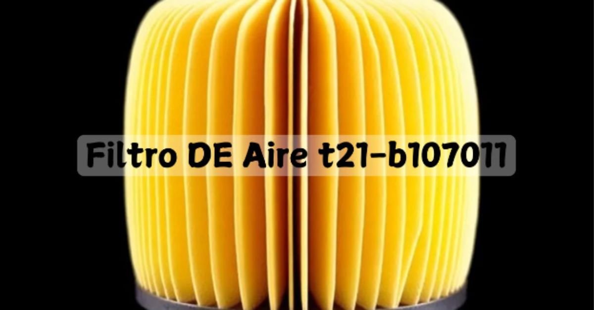 filtro de aire t21-b107011