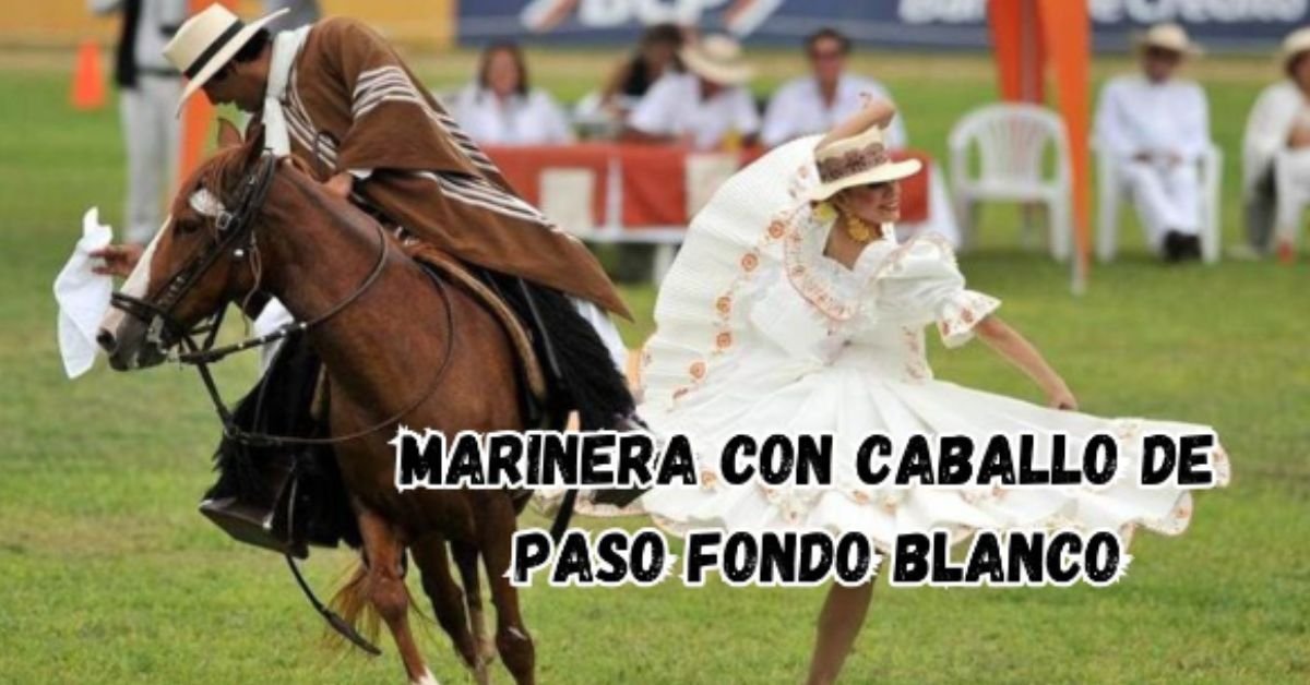 marinera con caballo de paso fondo blanco